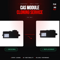 CAS3 Cloning Service